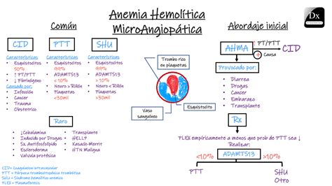 anemia hemolítica microangiopática